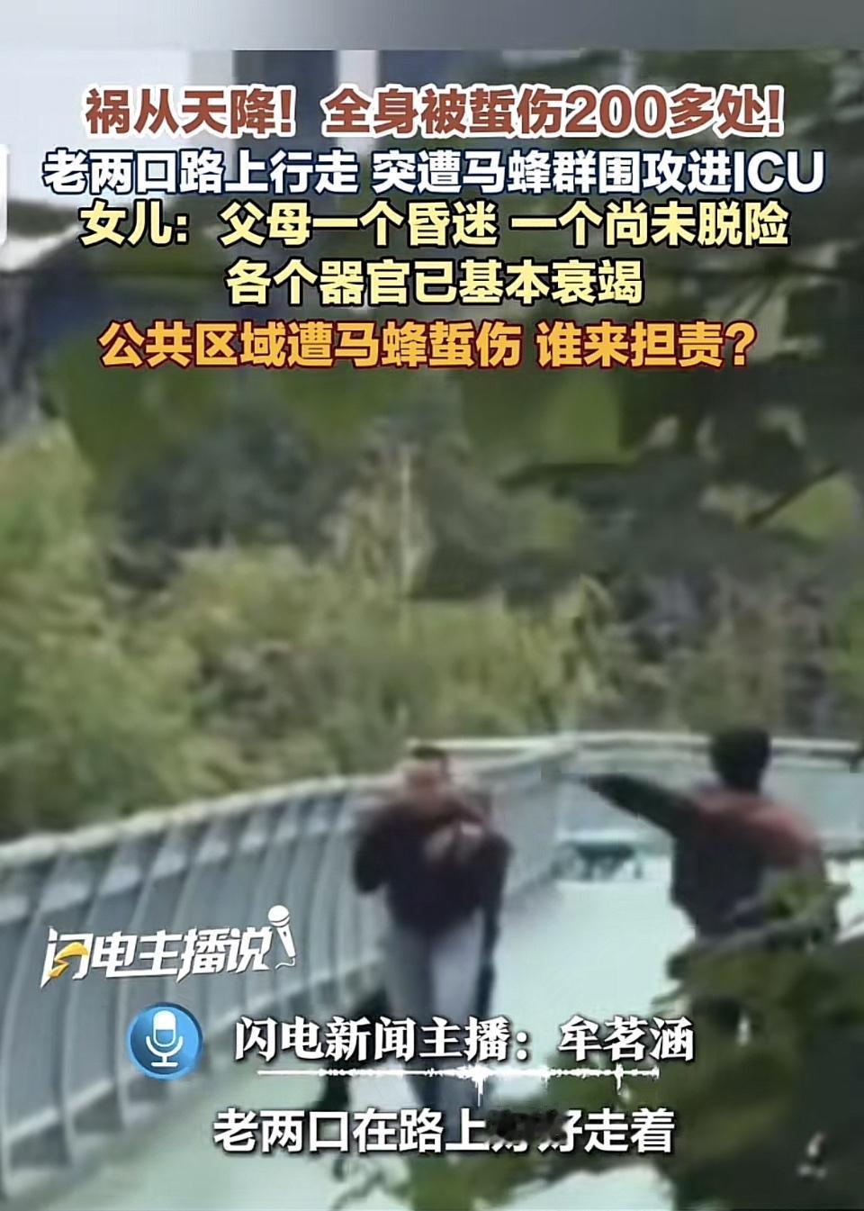 河南汝州这对七旬老两口的遭遇完全是祸从天降。
9月11日上午九点多，他俩沿着洗耳