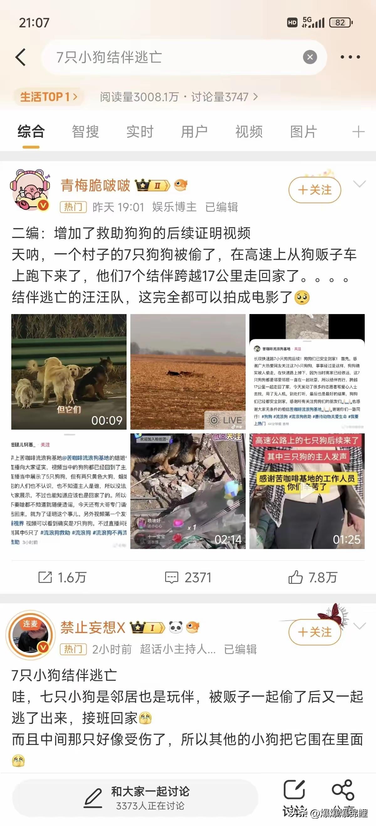刷到那七只小狗走丢的视频时，本来以为这就没下文了。

毕竟网上的事大多都是凑个热