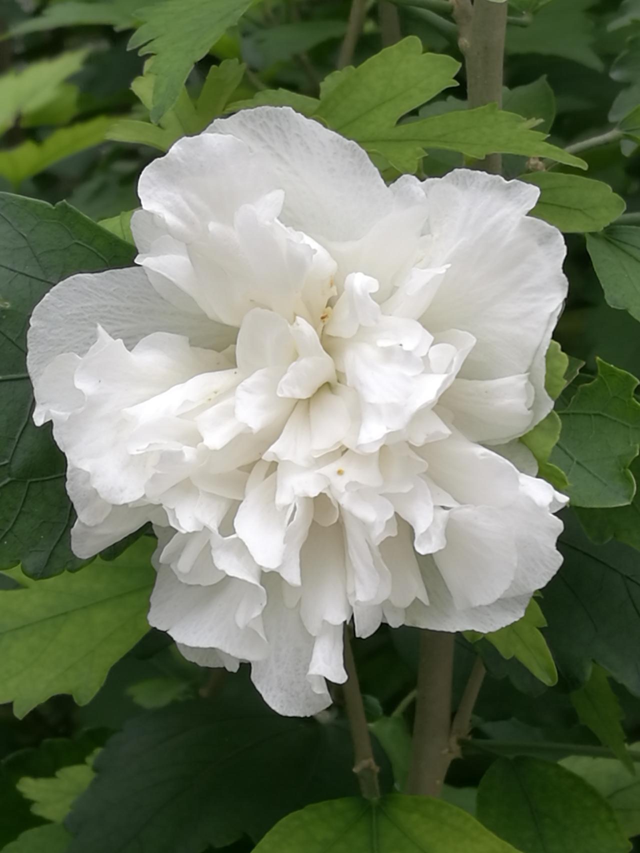 领导说：“我就不签字了，你们注意安全！”
又是一年清明至，这两天固原二中、弘文中