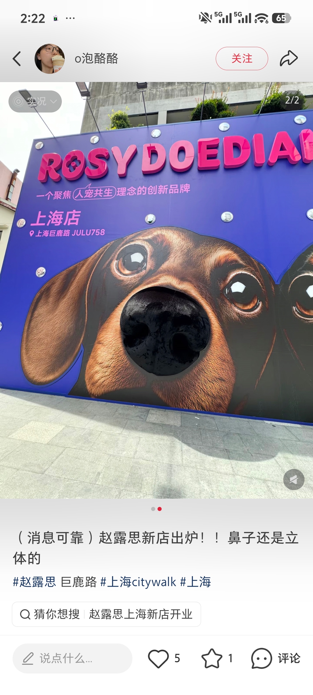 这个立体鼻请大家别扣 