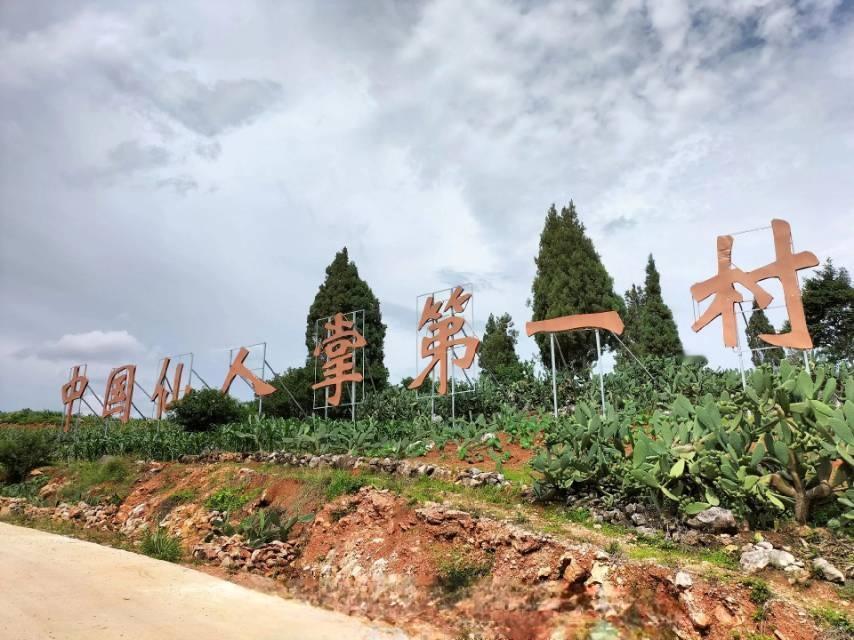 《云南这个村太牛了！把石头山种成5000亩“绿色银行”，仙人掌宴香到流口水》
 