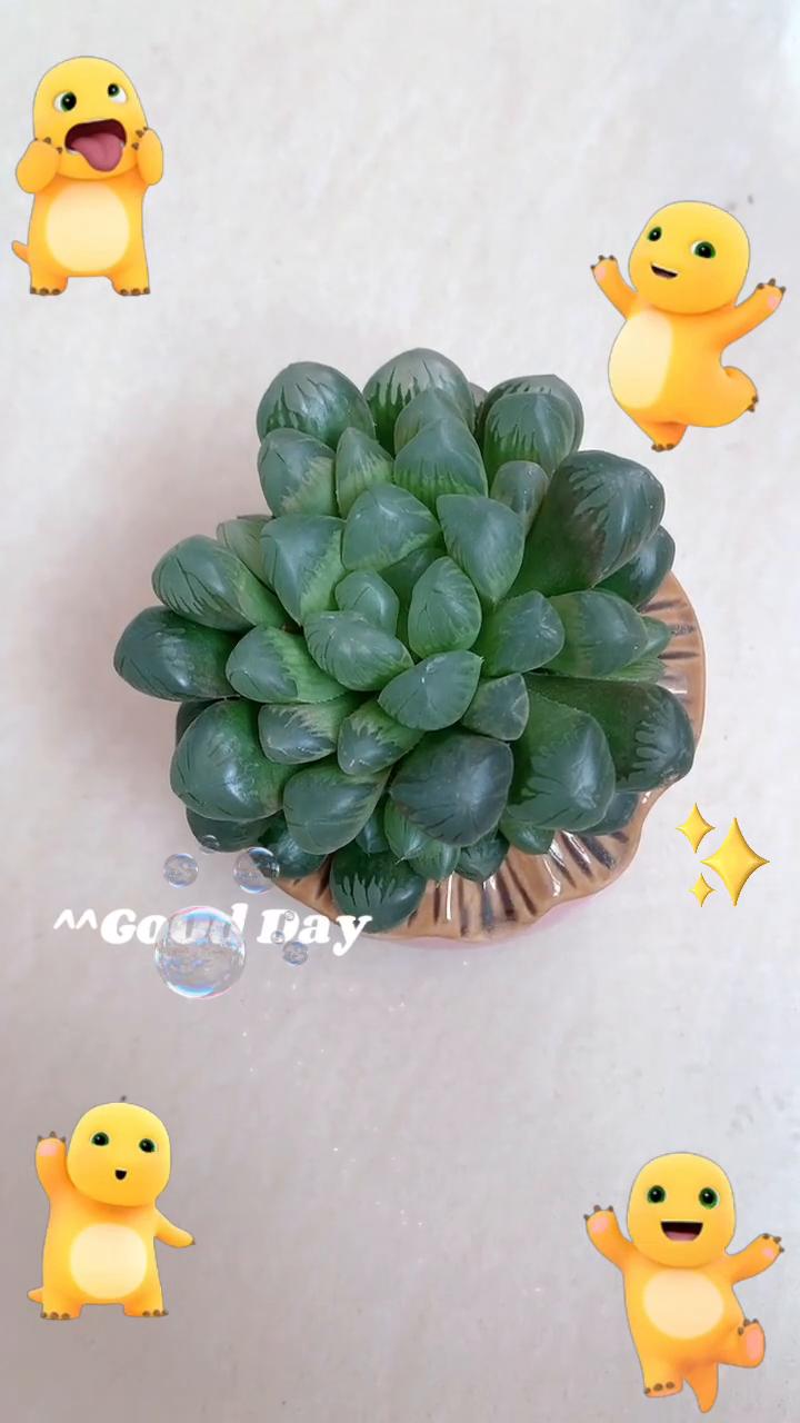 惊喜却又没兑现。