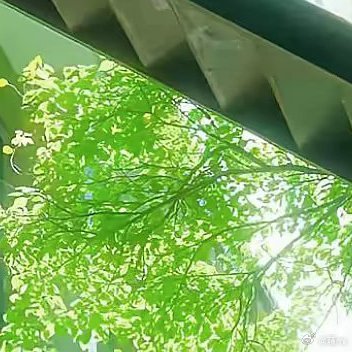 阳光信用  🌞阳光信用🌞阳光信用 每日一善不想认命，就去拼命！付出就会有收获