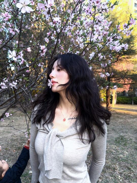 楼下樱花 ˘͈ᵕ ˘͈❀