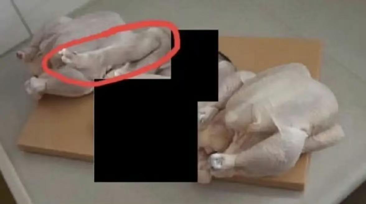 都别再传谣了，这张图片是假的！
爱泼斯坦相关档案被美官方部分公开，其中一张照片被