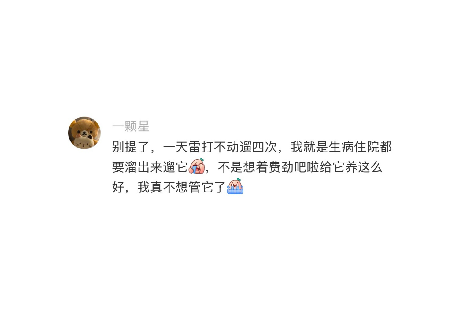 养狗真的会失去自由吗 