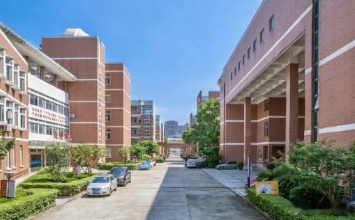 打造路桥科学教育新样本盛夏捷报频传，路桥中学培育多名优秀学子。学校创新书院育人模