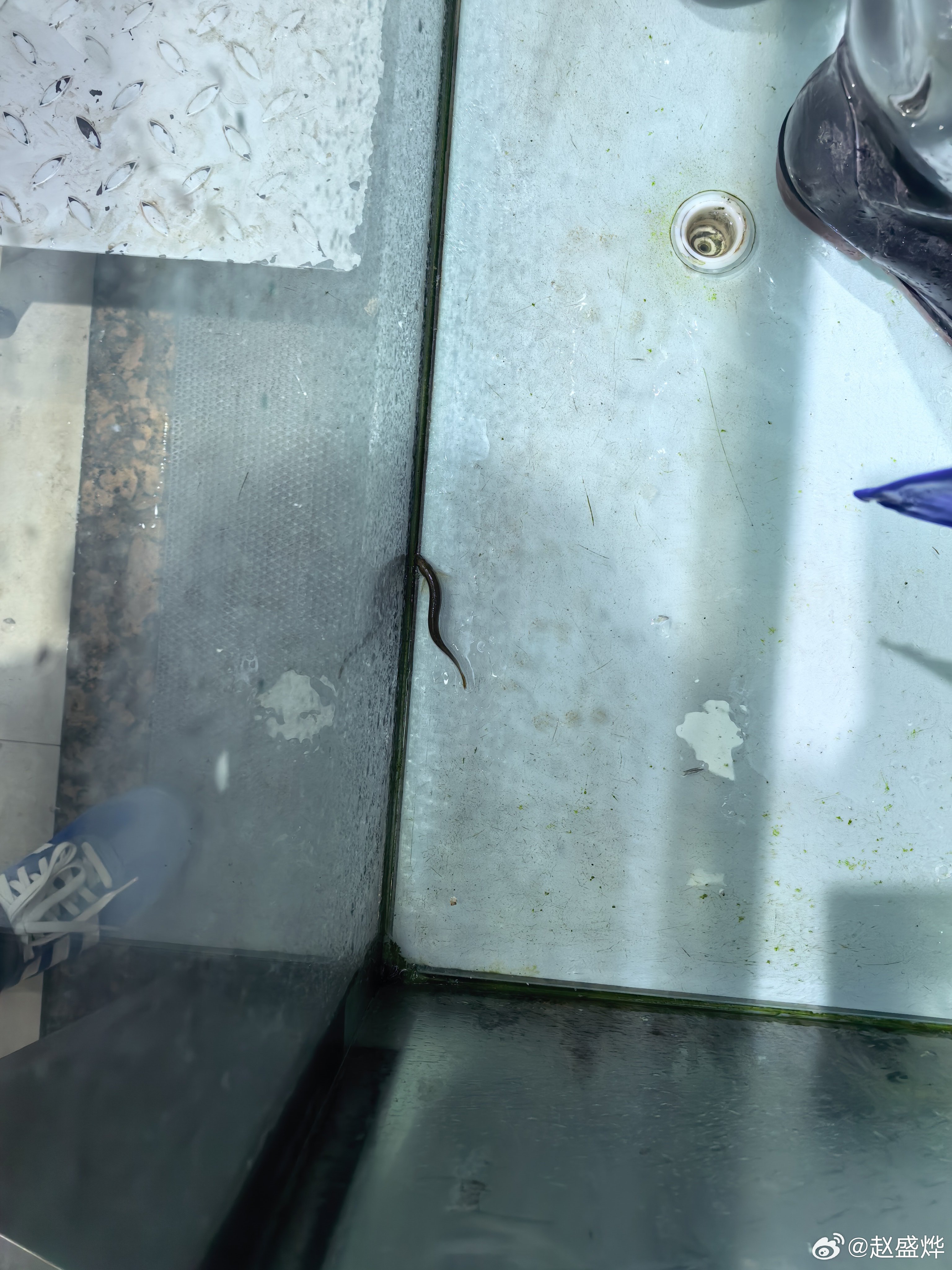 心情不好，不想写太长。昨晚知道了张雪峰大哥去世的消息之后，到现在一直萎靡不振。想