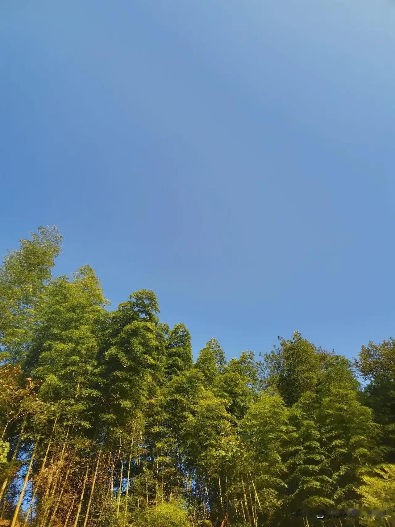 感觉社会戾气越来越重，奉劝大家出门一定注意自己的言行举止，不要有言语上的冲突，别