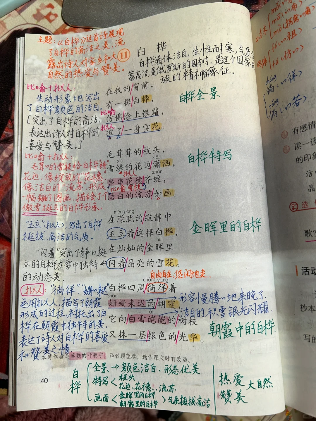 四下语文备课11《白桦》