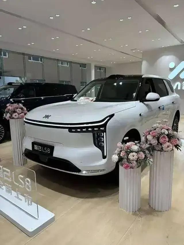 数据说话，不得不服！

2022年：智己汽车6月开启交付，当年一款车型卖了5,0