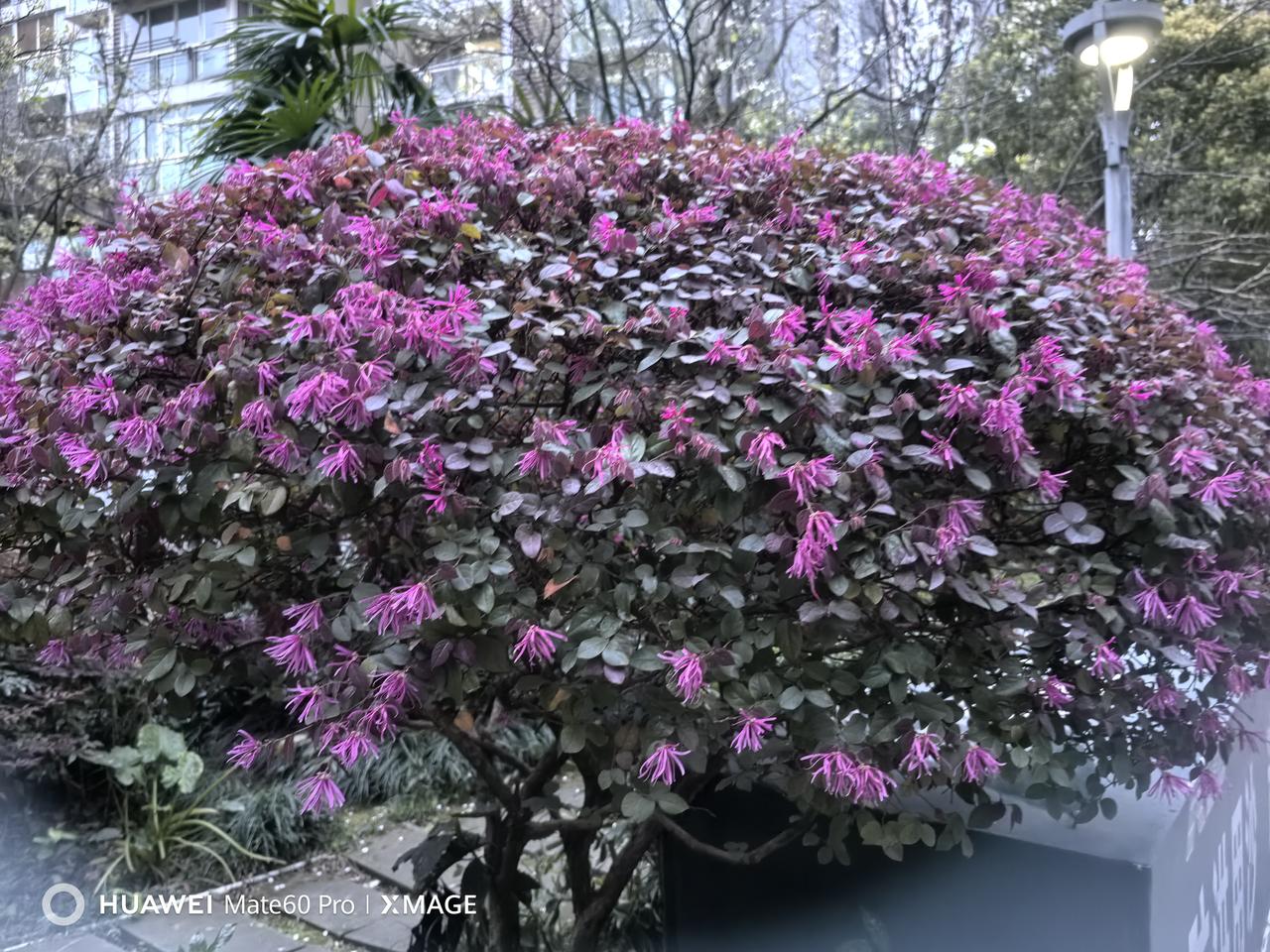 我现在每天坚持的事是10分钟阅读。别小看这10分钟，日积月累，收获可不小。以前我
