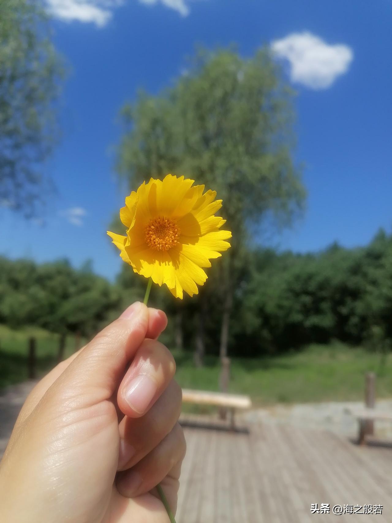 嗯，啊，行，好。
去公园，你去吧，我不想去。
衣服咋样，挺好，别问我了。
擦玻璃