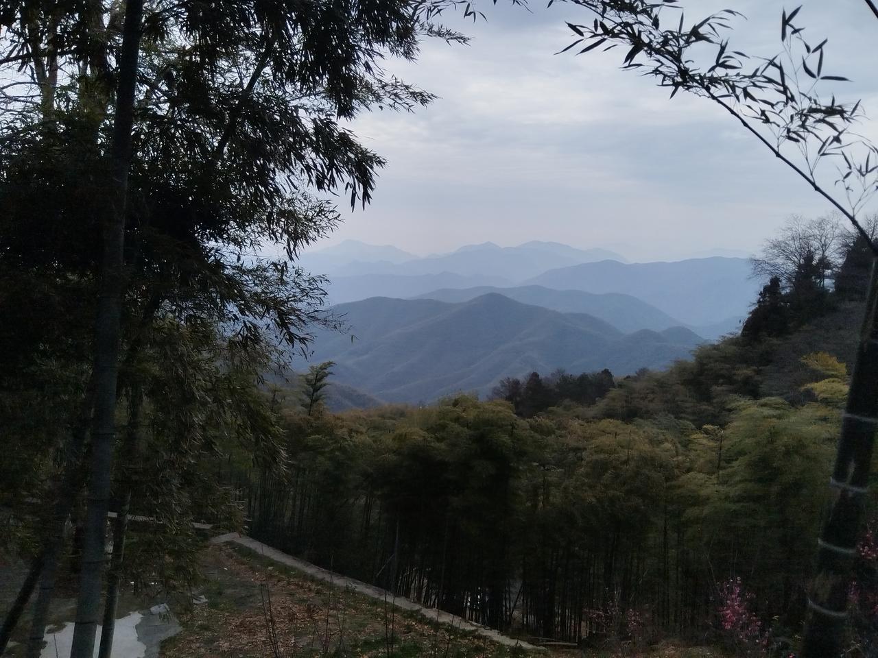 在翠竹林里看莫干山的群山叠障，那种感觉真的很好。竹林间弥漫着清新的气息，每一口呼
