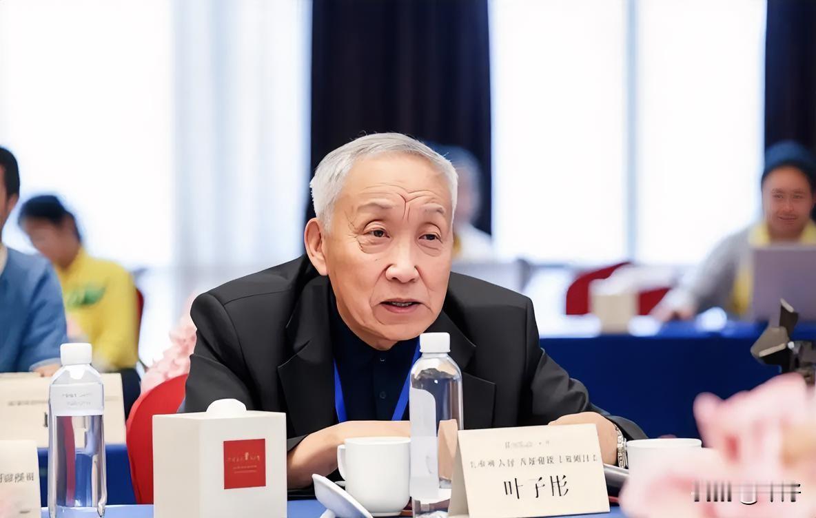 叶子彤的欺骗手法是偷换概念，将分析样本用提前设置多重机关的定制句子，极易导向既定