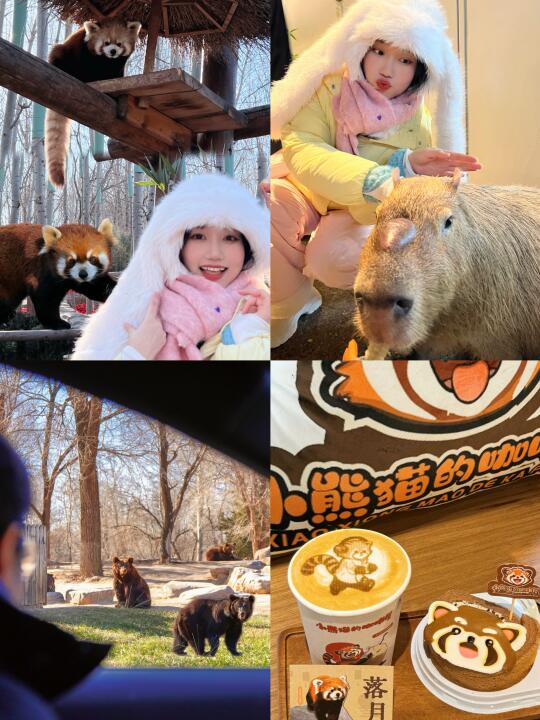 北京野生动物园🦒不排队一日游攻略🧨2025版