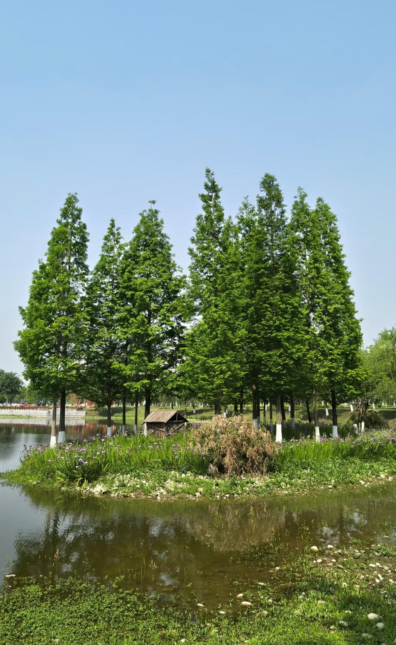 分享一下你随手拍下的照片