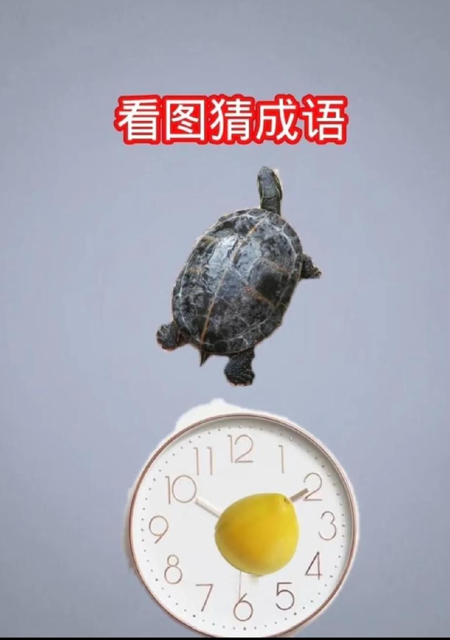 乌龟+钟表=？这道看图猜成语难倒10万网友，90%的人都猜错了！