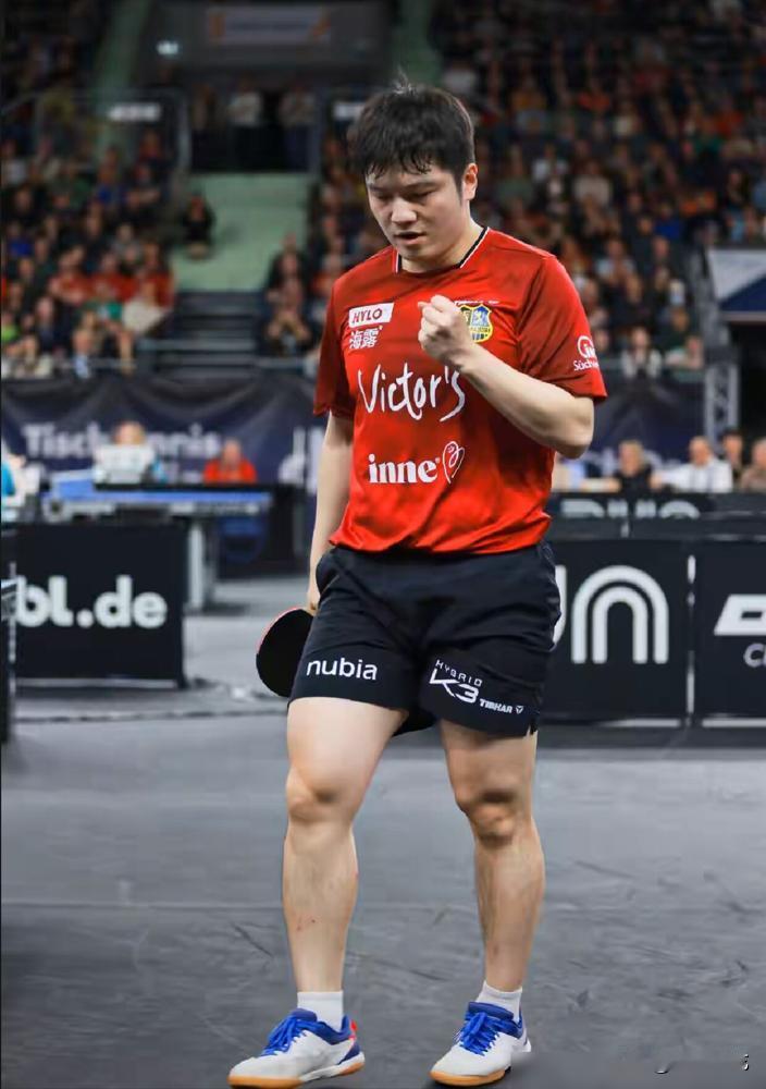 为什么樊振东去德国打球，反而能过正常人的日子？
2025年他加盟德国萨尔布吕肯