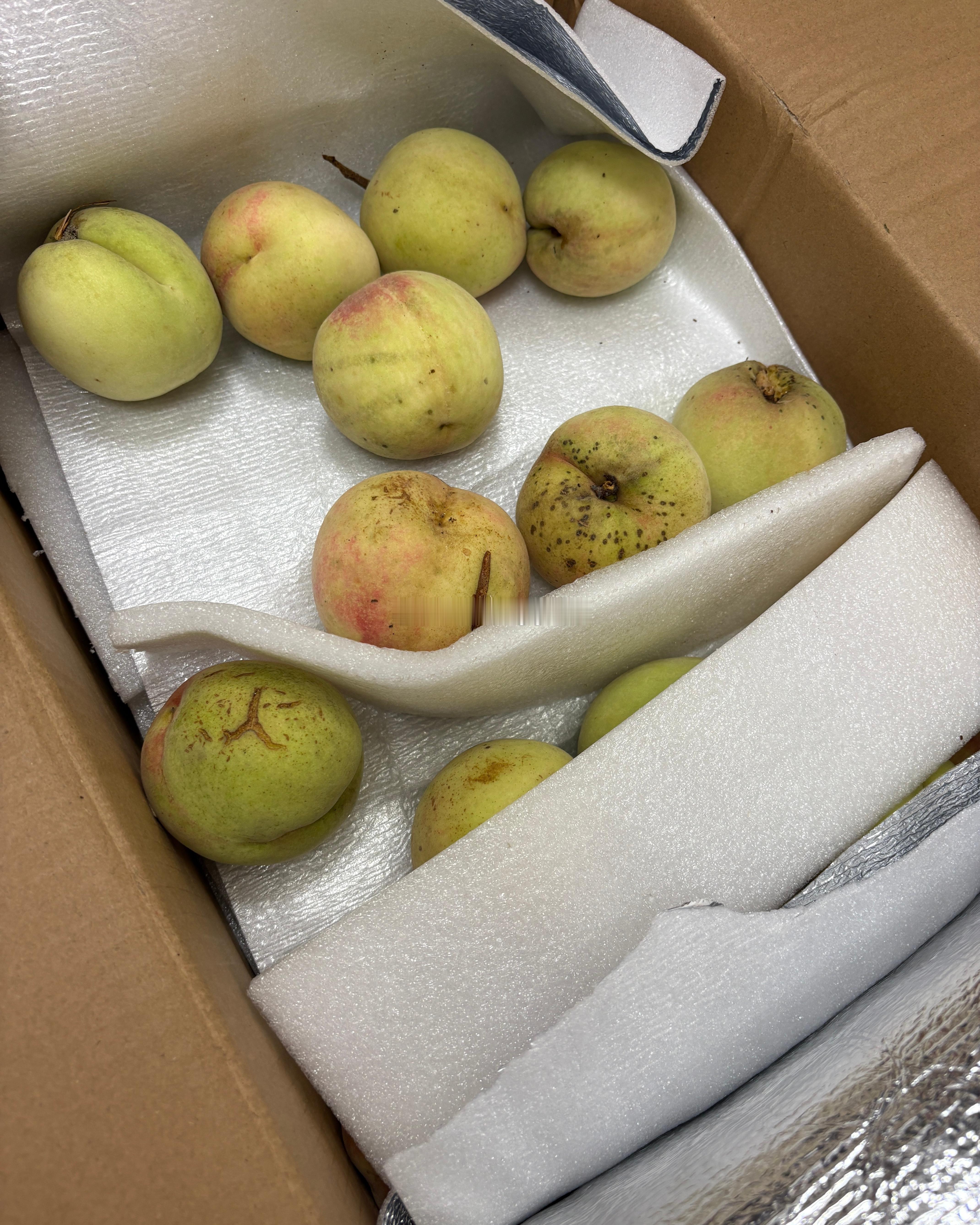 大早上就收到了顺丰快递📦是我婆婆妈给我们寄的家里树上的桃子🍑外貌不咋的 味道