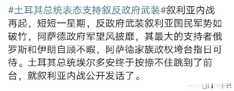 土耳其：准备好提供叙利亚新政府军事支援

叙利亚反抗军推翻前总统巴夏尔‧阿塞德后