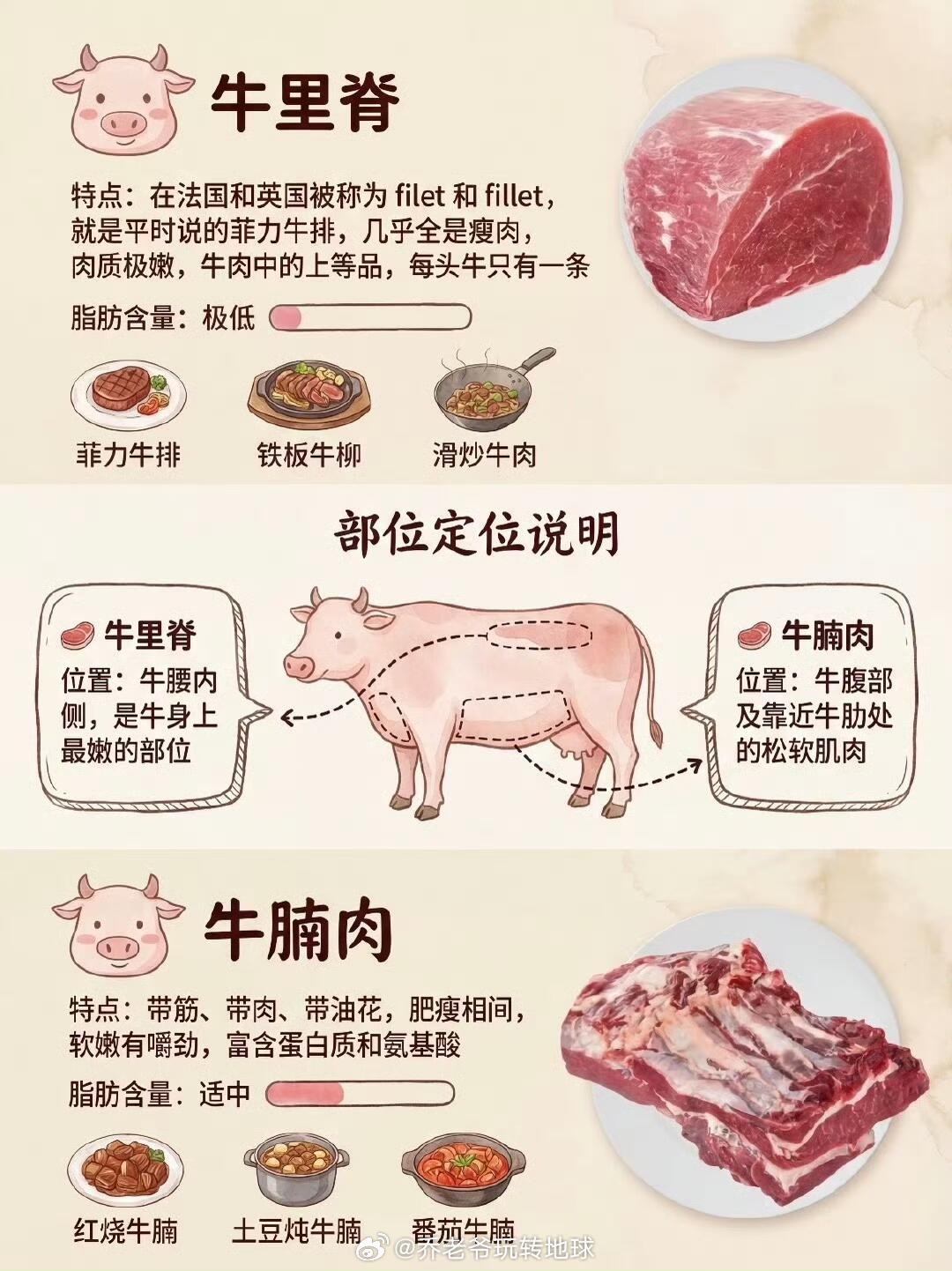 一张图教你怎么买牛肉（超实用），每次去菜市场买菜都不知咋买！尤其像牛肉这些肉类，