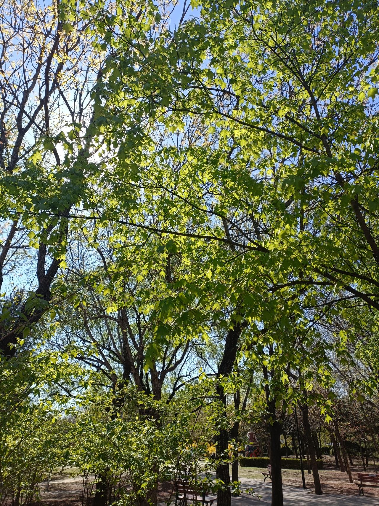 晒图笔记大赛风景秀丽，花开遍野，美好时光