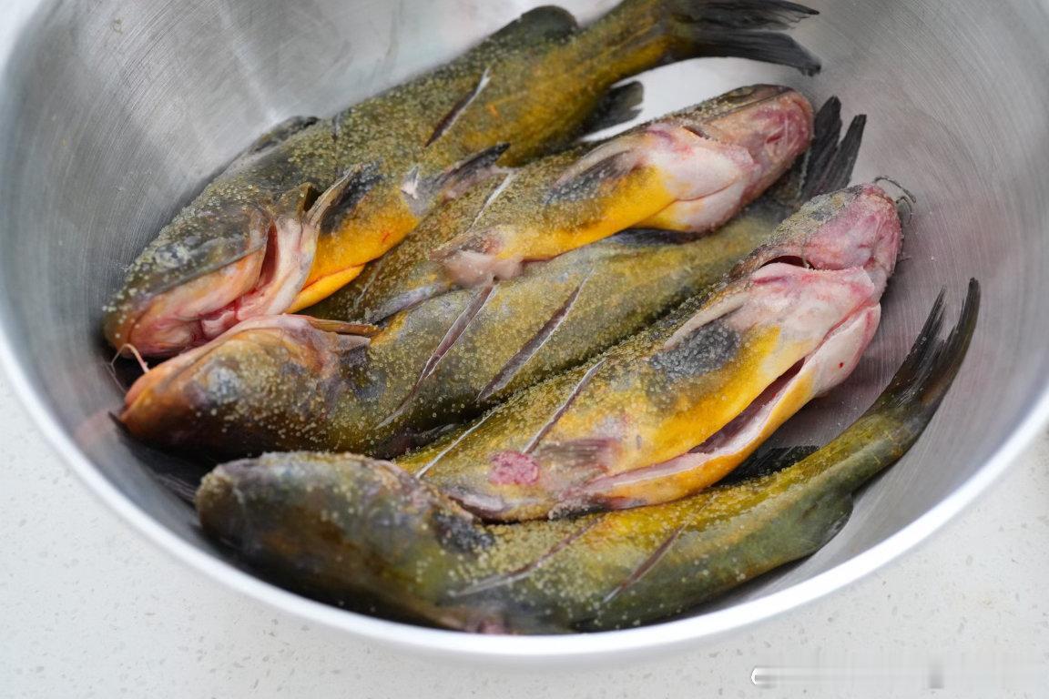 今天试了试高压锅蒸鱼，五分钟蒸出来确实挺嫩 ​​​