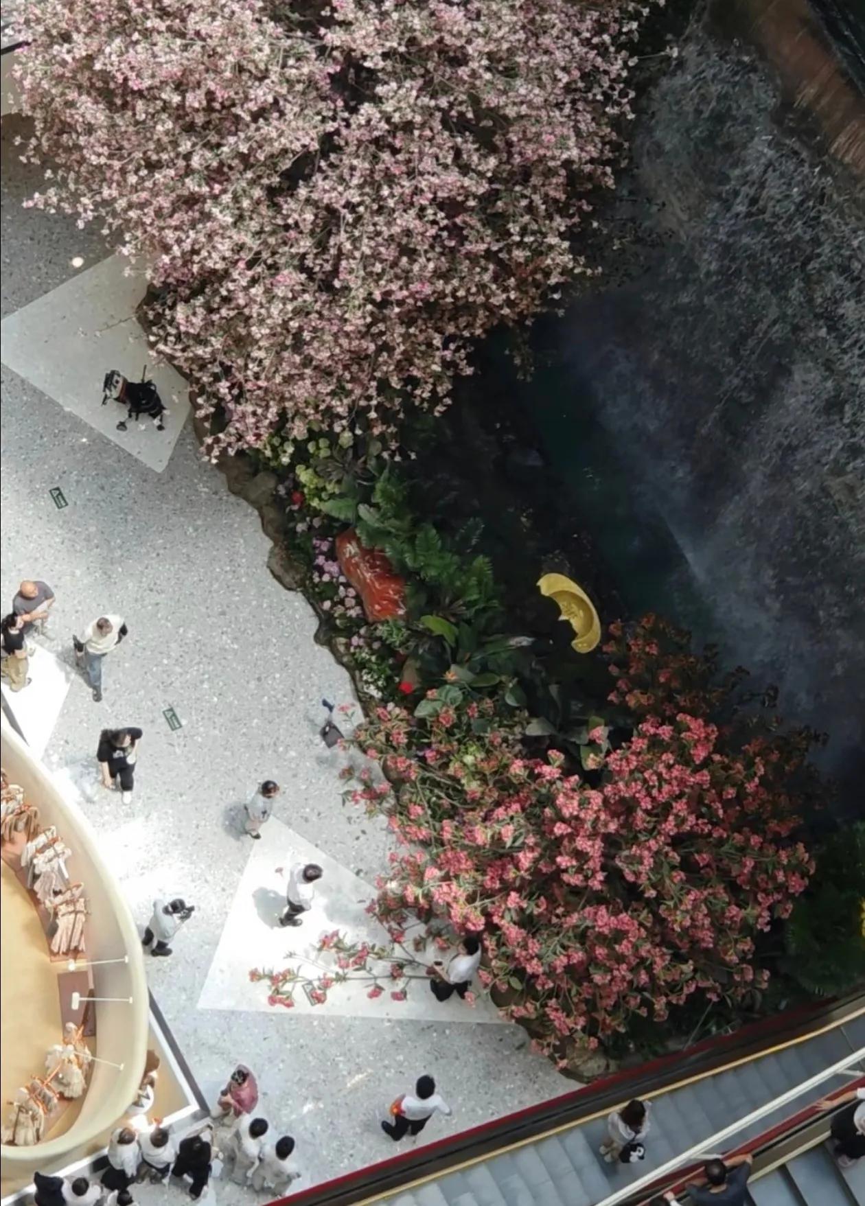西安赛格这波操作比狂飙还狂飙，从网传的视频和图片看，商场里的人动作麻利，手法娴熟