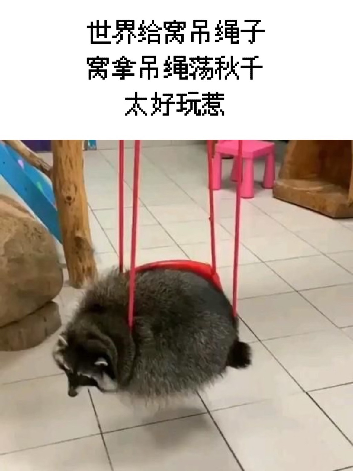 日子越近越紧张 也不知道熊梓淇紧张不 