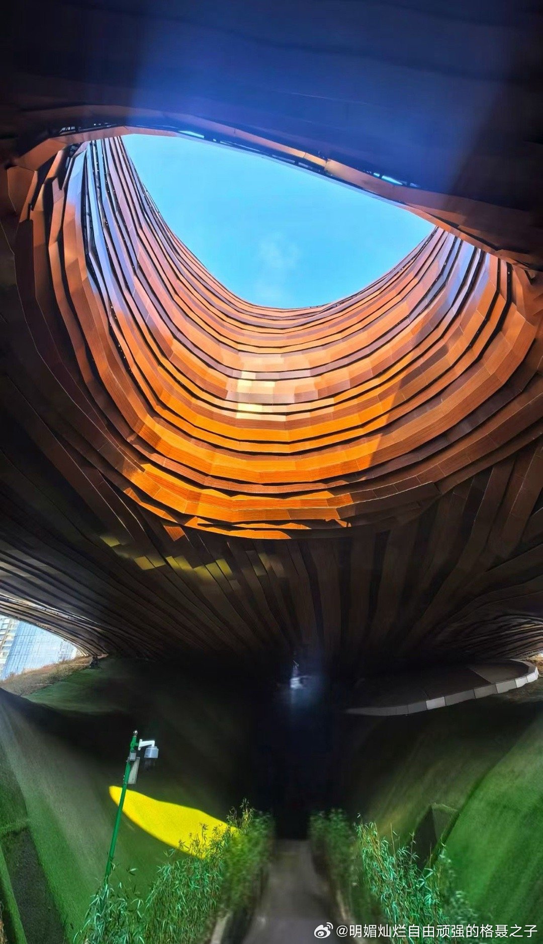 阳光正好，一切都好 