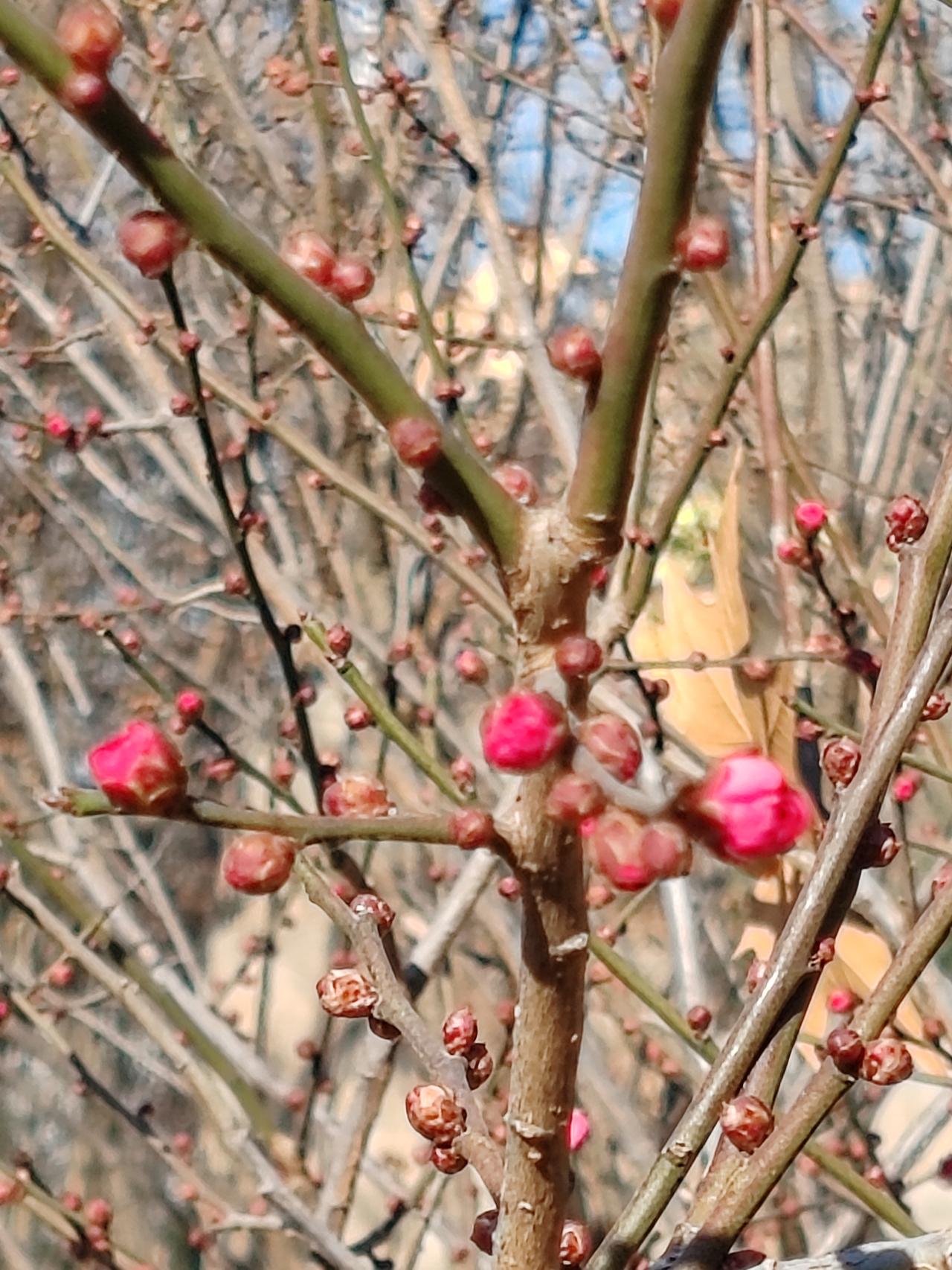 60后已然退休或即将步入退休生活。他们早已过了拼搏打江山的年纪。该拼搏的已然拼搏