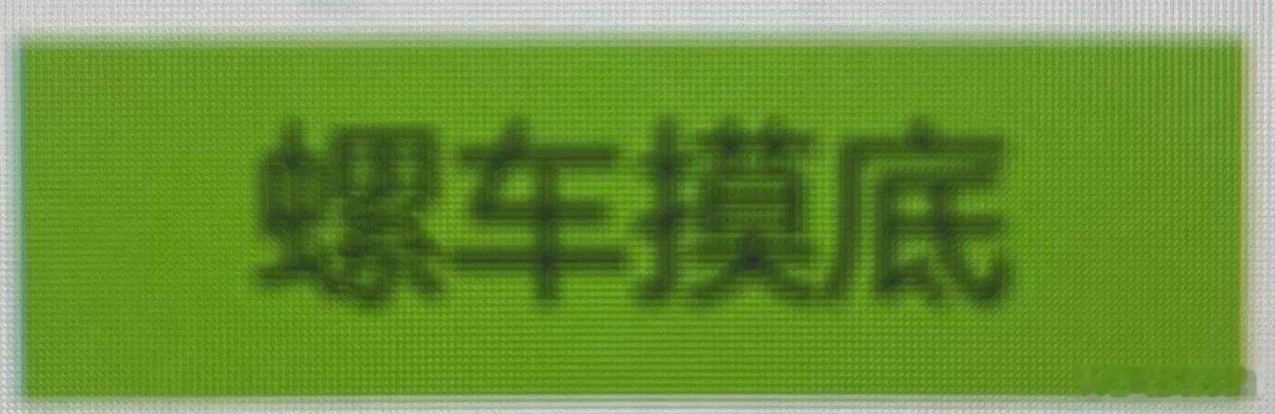在那儿看材料，看到“螺车摸底”、“OTS调教”。我还以为要造海螺姑娘车，以及要进