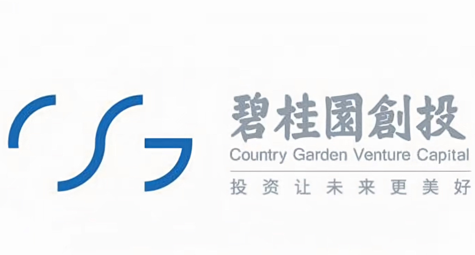 碧桂园投中：长鑫、蓝箭、追觅拿到现在应该能扎平负债，剩下的钱买点卡，郊区地搞ID