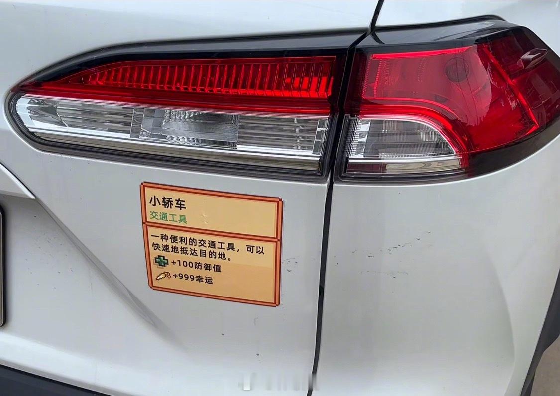 当00后买了车太会整活了 