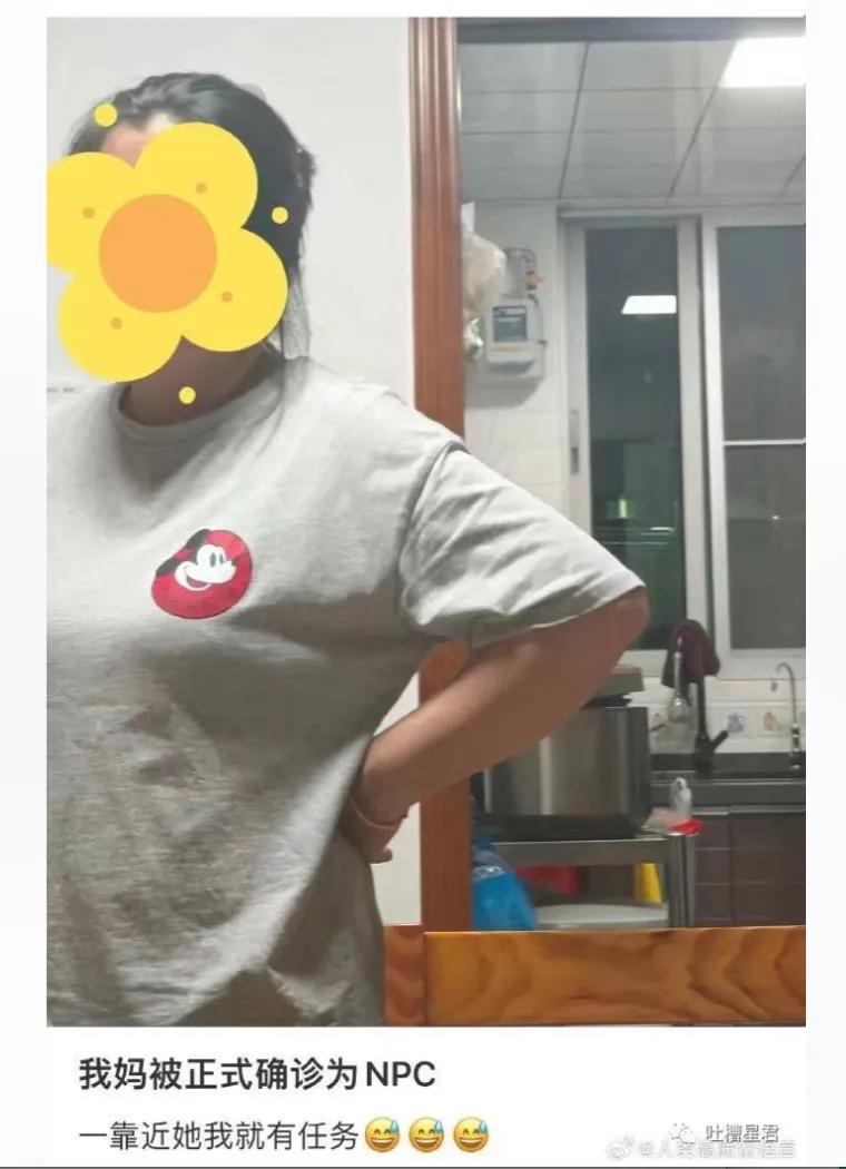 NPC来形容妈妈很对