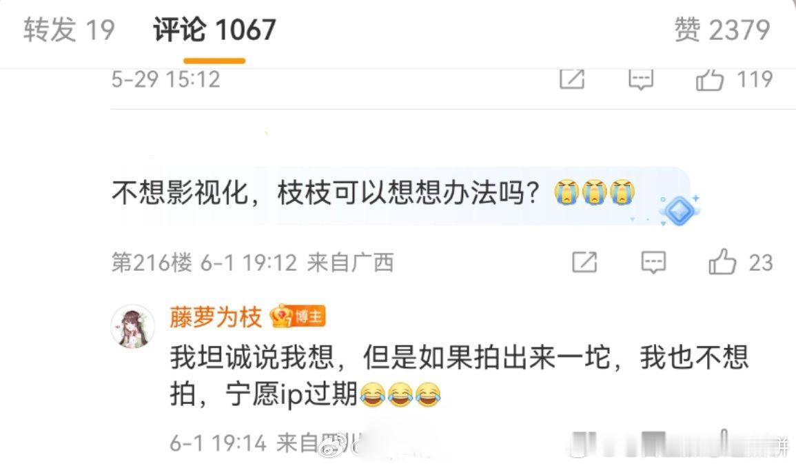 网友留言希望偏偏宠爱不要影视化，作者藤萝为枝回复：她想，但是如果拍出来一坨，她也