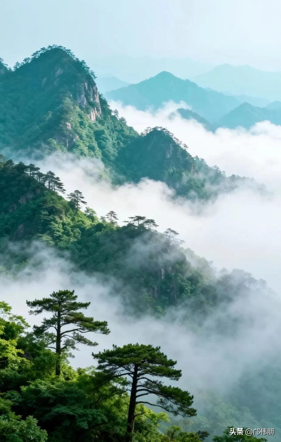 七律·素心持善漫行远
处世常怀一寸仁，
春风润物不沾尘。
施恩莫问前程远，
积德
