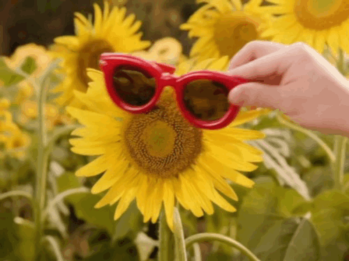 孙颖莎OPPO全球合作伙伴带上🕶玩🫧太明媚了小莎☀️ ​​​