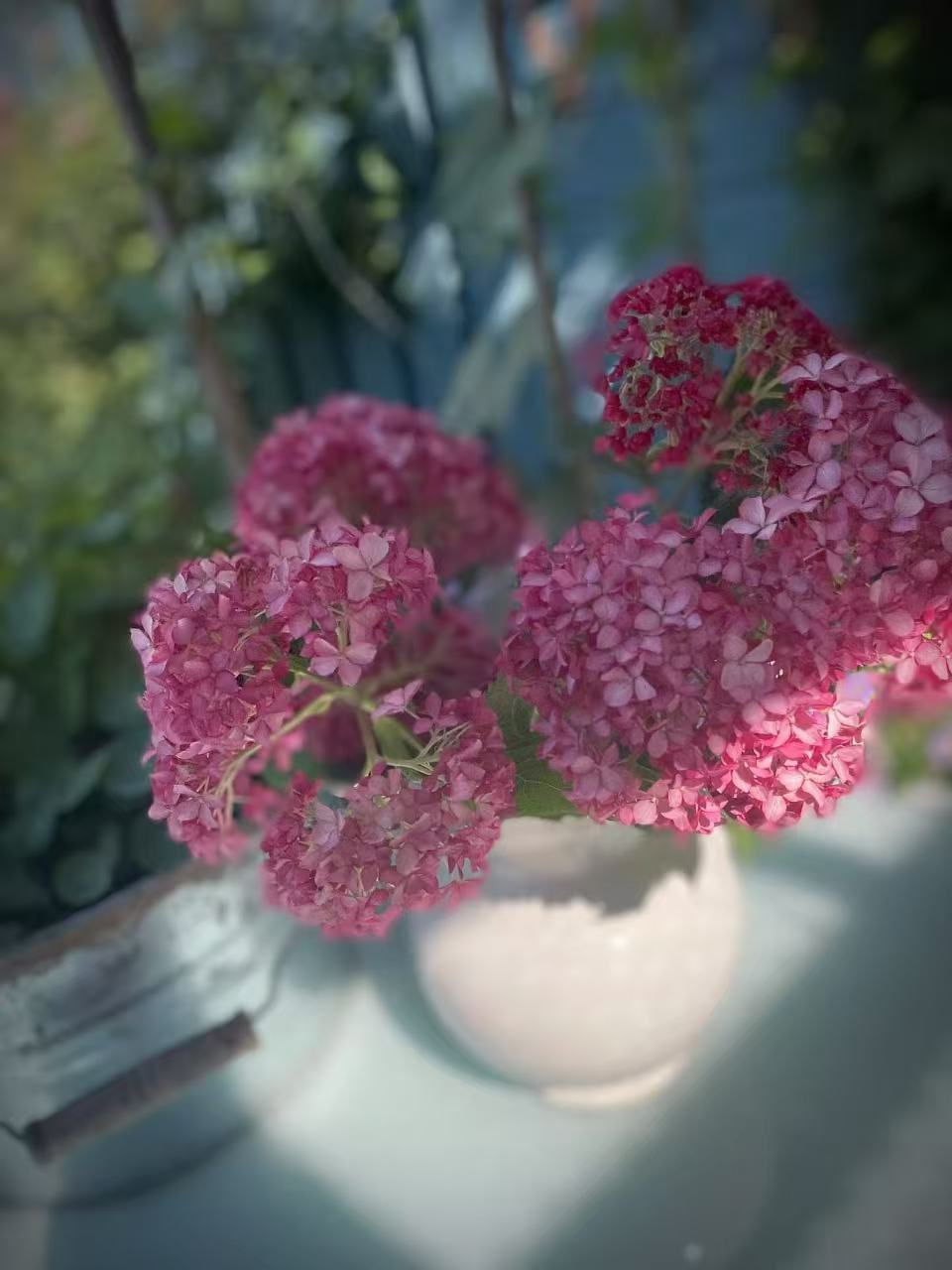 晚风散步随笔傍晚卸下一身忙碌，独自出门慢慢散步。天色渐渐柔和下来，白日里燥热的风