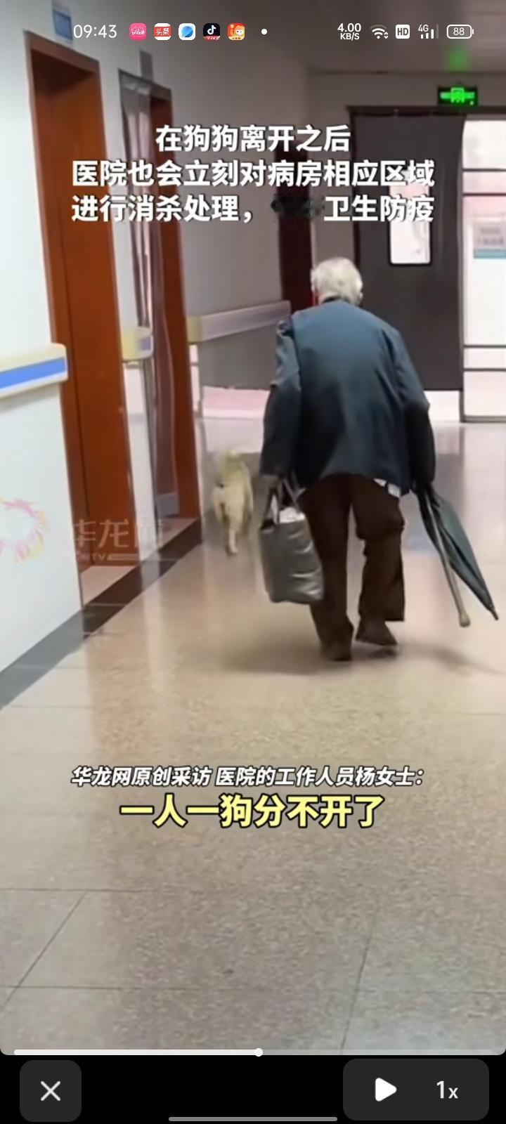 9月4日（报道），湖南常德。网友发视频称，91岁爷爷因为牵挂奶奶，奶奶去世一年多