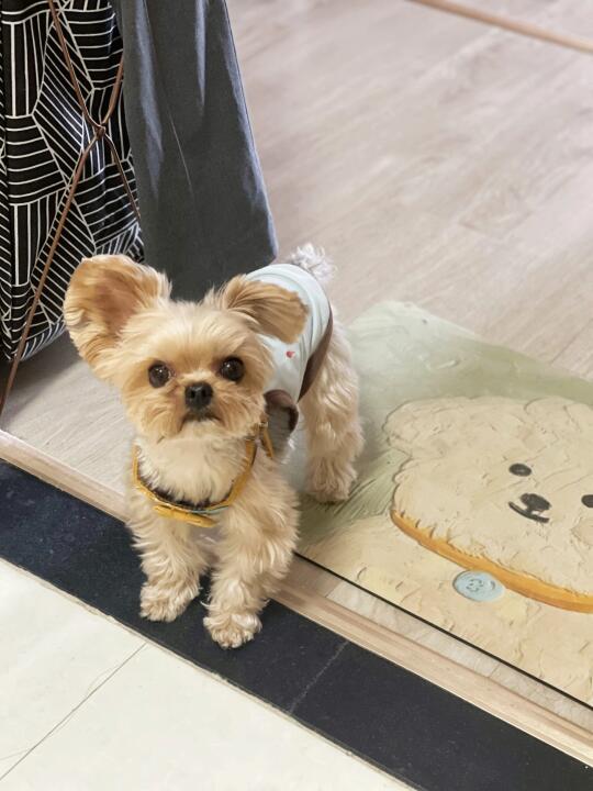 可以看看你们的厕所搭子吗🧐