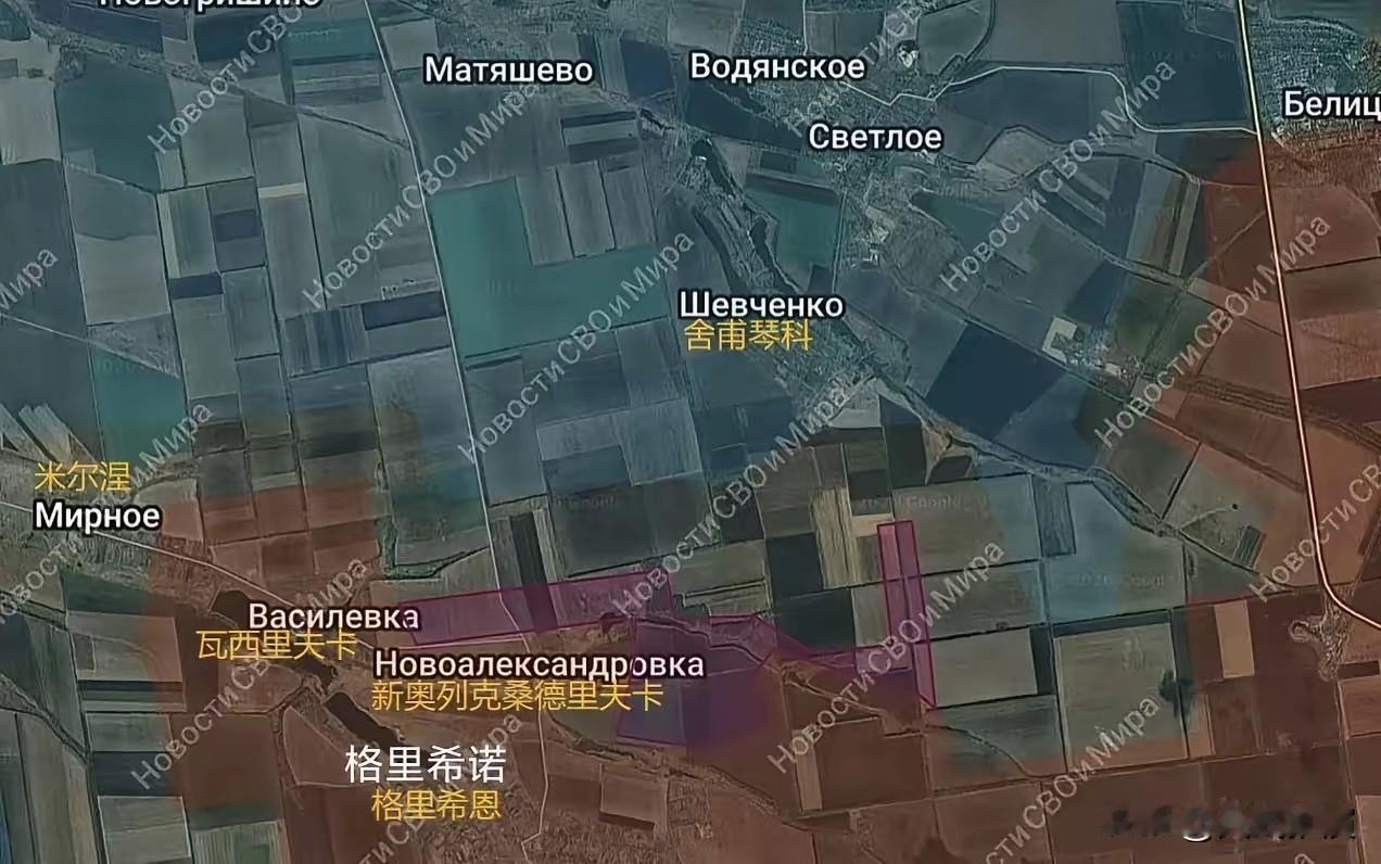 俄军中部集群突击队向舍甫琴科推进。

俄军这支突击部队动身去往舍甫琴科区域，近两