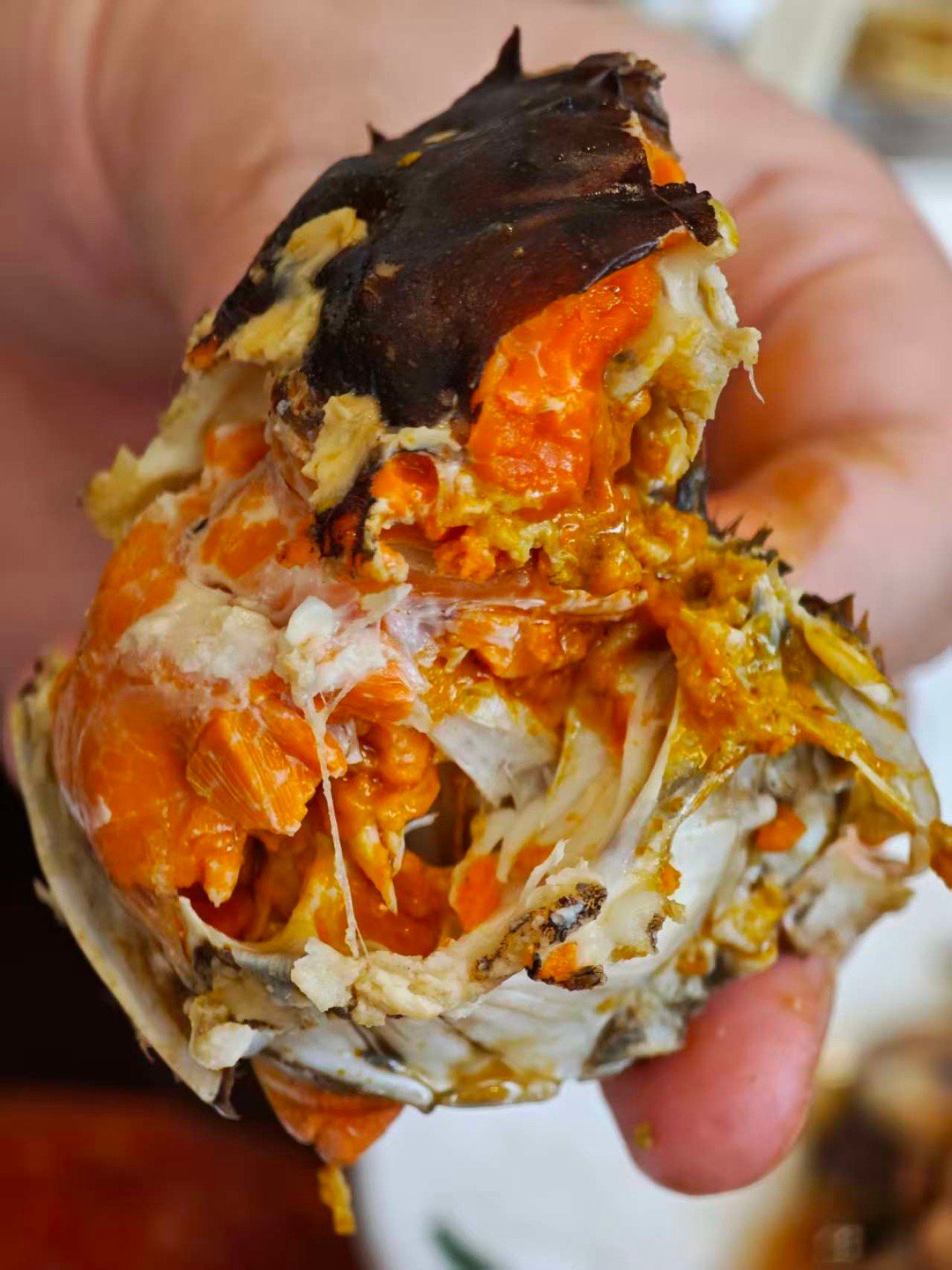 朋友家自己养的大闸蟹，妹想到1月份了还有这么肥的，带劲！ 