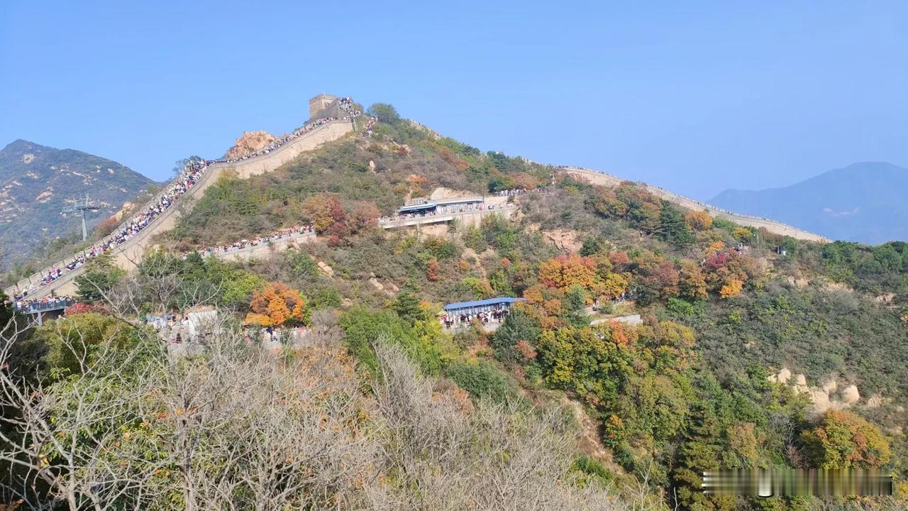 #可以分享一张秋景树叶的照片吗#秋天的八达岭长域，令人陶醉！
