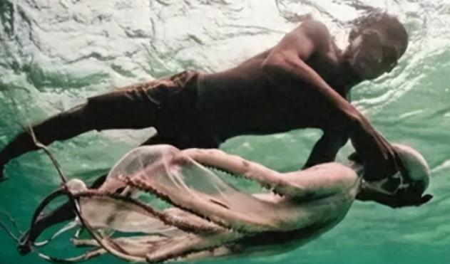 世界上唯一没有国籍的民族：一辈子只能泡在水里，身体悄悄发生了“变化”。

在东南