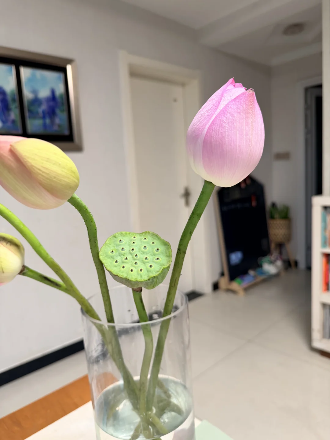 从前我爱买花