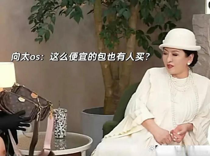 向太一脸嫌弃的看着那几个LV，可能没见过这么便宜这么丑的设计…… ​​​