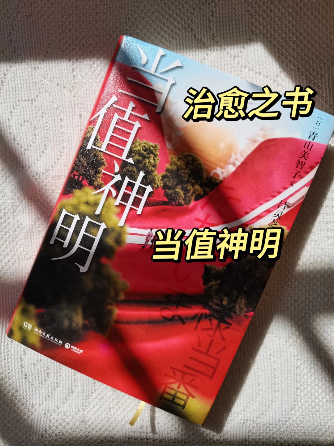 天啊！又丧又治愈，不愧是青山美智子啊！