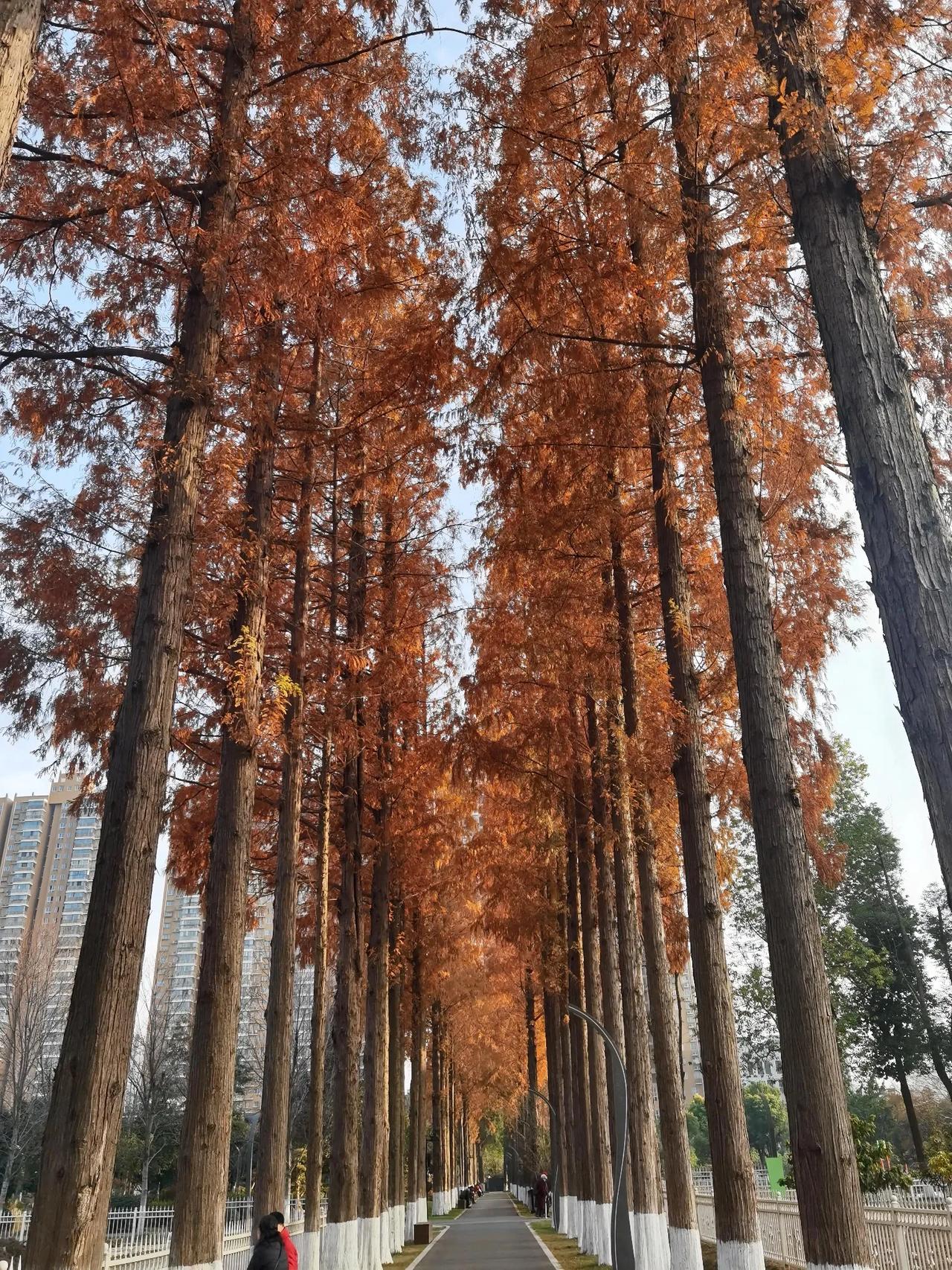 发现没，
自从玩头条以来，
手机里存的图片是越来越多了，
手机也越来越卡了，
这